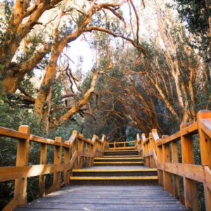 BARILOCHE + VILLA LA ANGOSTURA