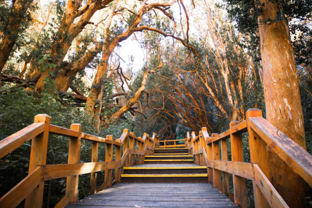 BARILOCHE + VILLA LA ANGOSTURA