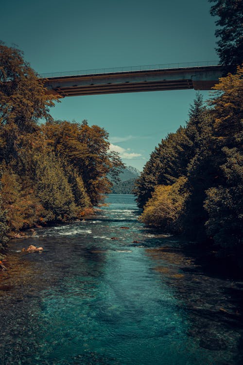 VILLA LA ANGOSTURA + SAN MARTÍN DE LOS ANDES