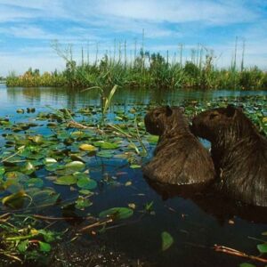 ARGENTINA VALLES Y NATURALEZA