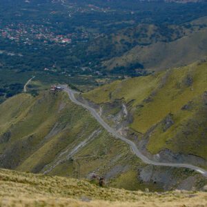 MENDOZA + SAN LUIS + MERLO