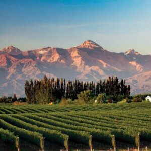 MENDOZA + VALLE DE UCO + SAN RAFAEL